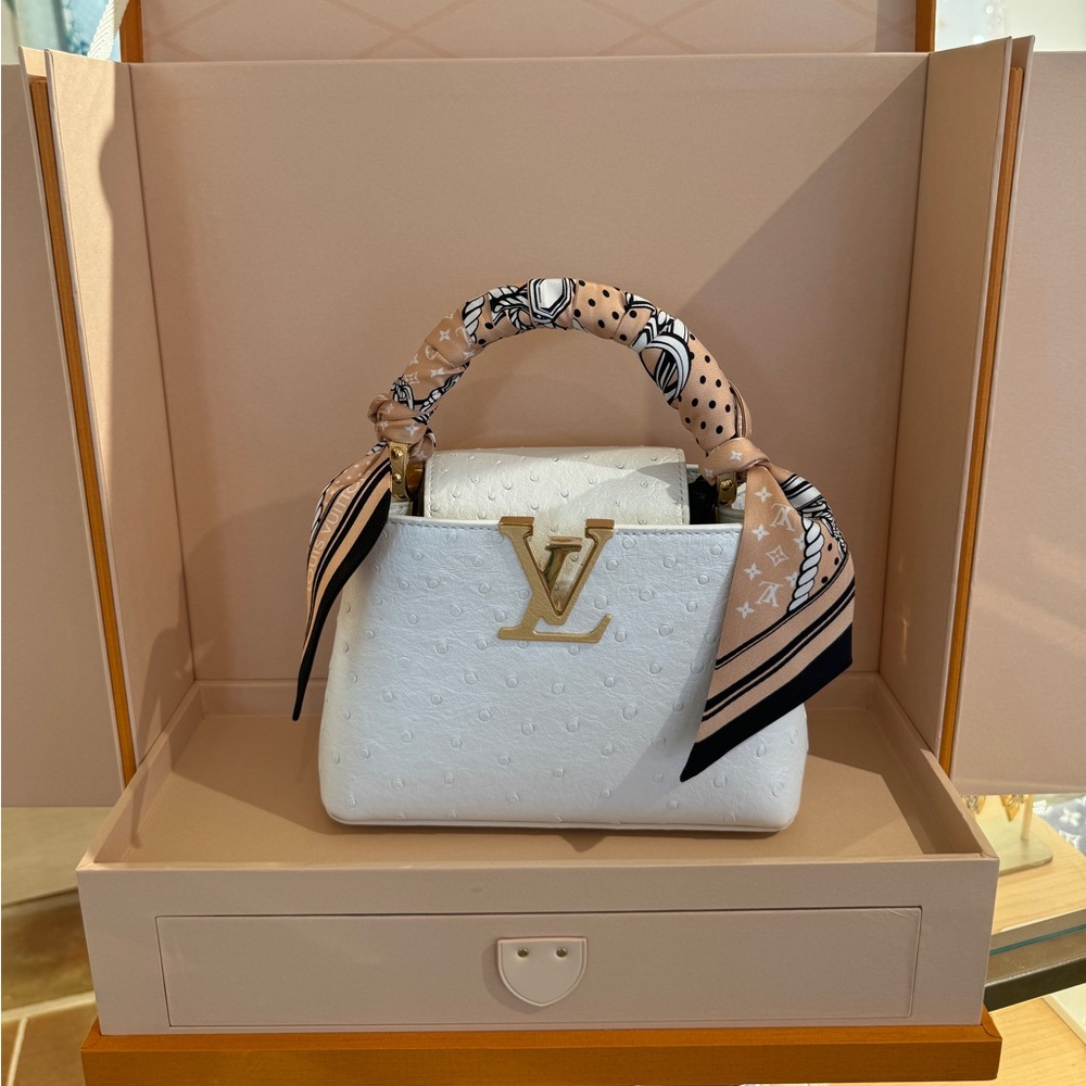 Louis Vuitton Capucine Handbag